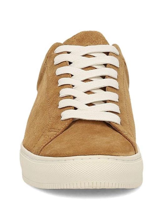 Frye Brown Astor Court Low Top Sneaker for men