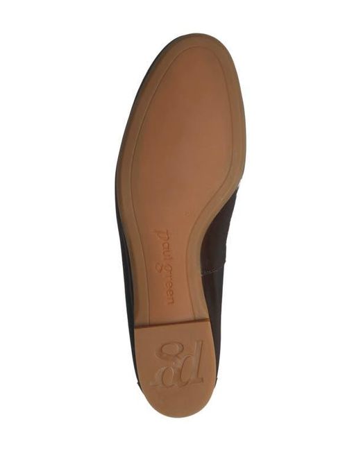 Paul Green Brown Daphne Flat