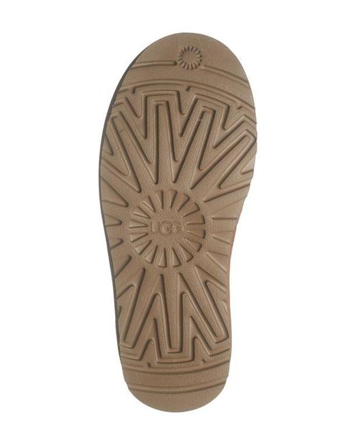 Ugg Brown Loria Clog