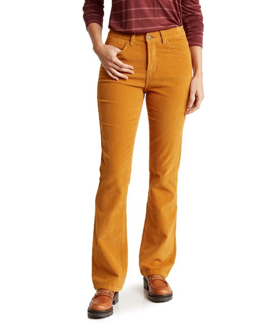 Kensie Orange 32" High Rise Bootcut Jeans