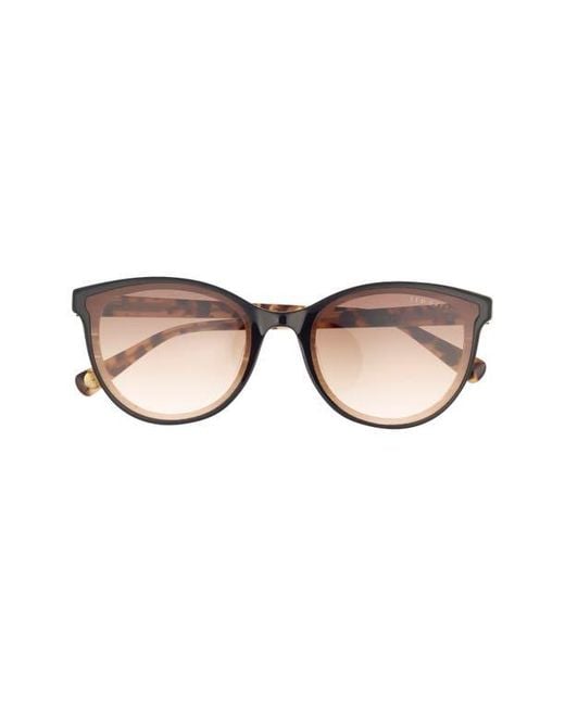Ted Baker Brown 58Mm Gradient Round Sunglasses