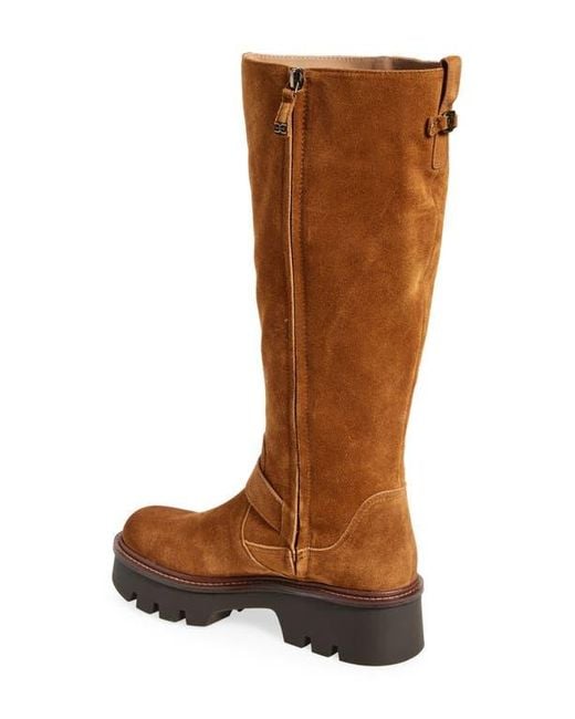 Sam Edelman Brown Carter Knee High Boot