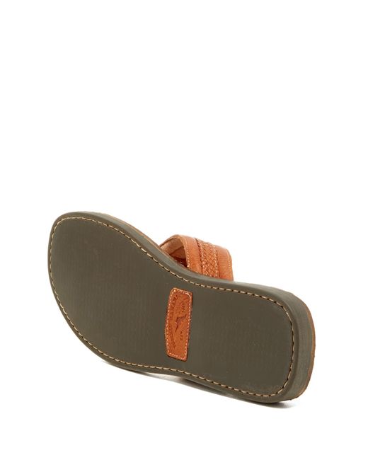 Tommy bahama clearance anchors away sandals