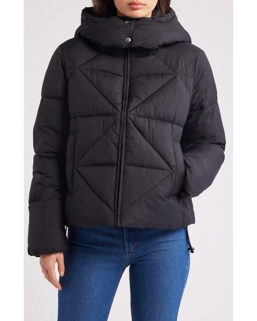 Sam Edelman Black Cropped Puffer Jacket