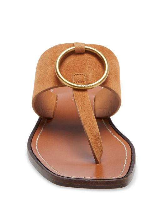 frame le willoughby mule