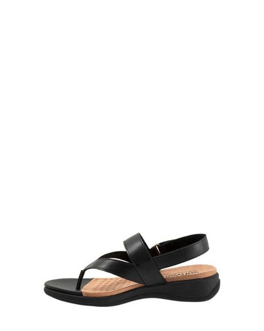 Softwalk® Black Tracy Slingback Sandal