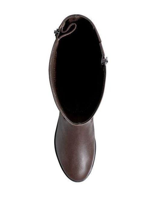 rockport knee high boots