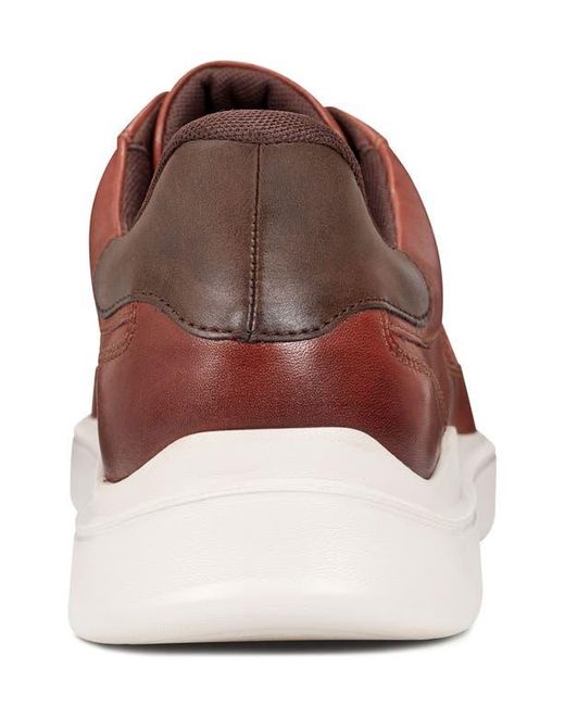 Rockport Brown Trenner Leather Sneaker for men