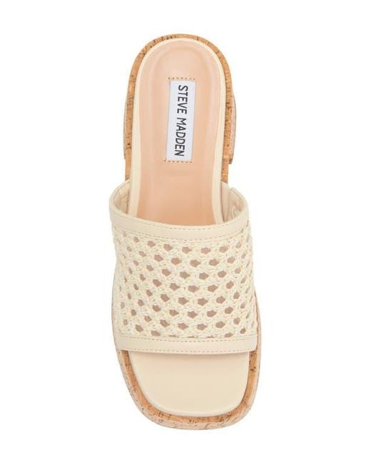 【Steve Madden】Corah ラテット プラットフォーム サンダル Steve Madden Corah Latticed Platform Sandal (Women