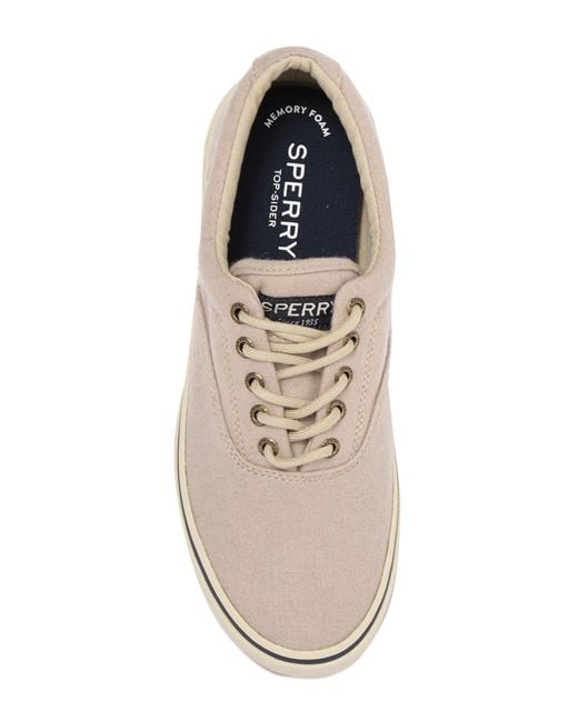 sperry wool
