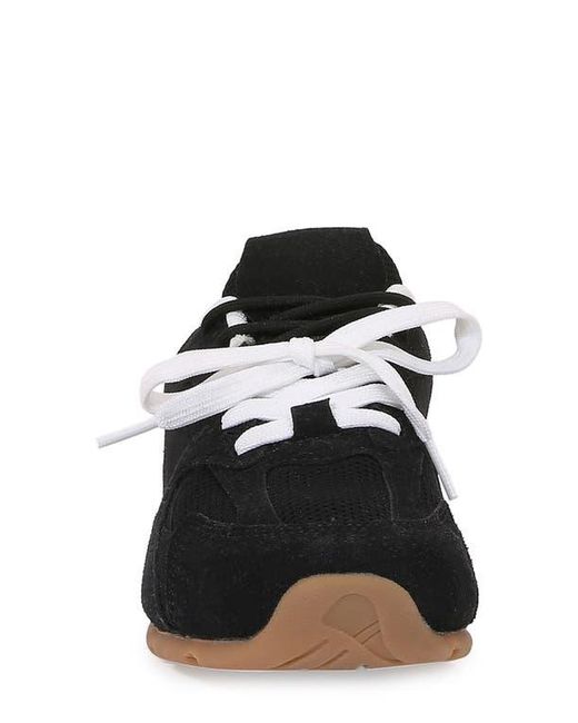 BERNESS Black Lula Double Lace Sneaker