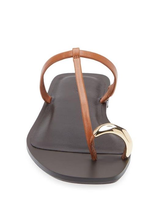 Madewell Multicolor Toe Loop Sandal