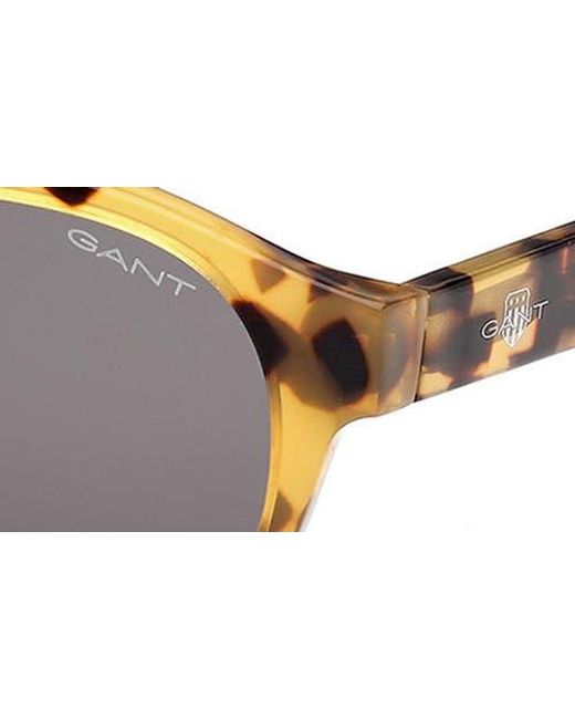 Gant Brown Round Sunglasses for men