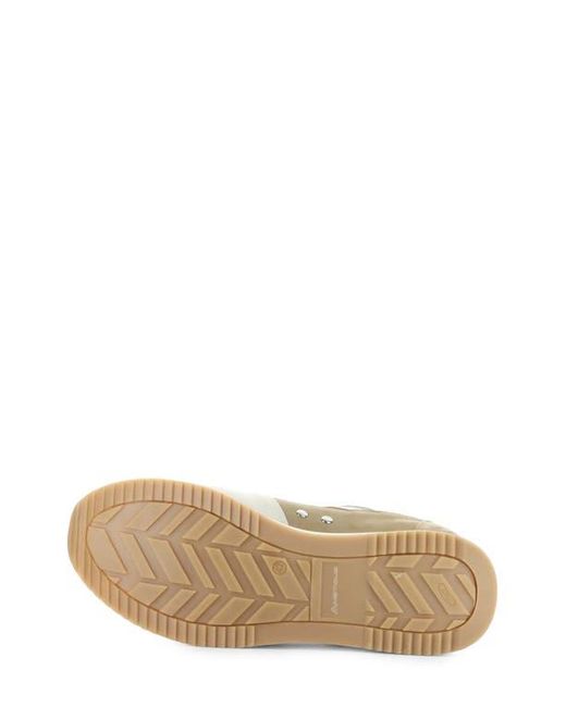 Ambitious White 11240 Perforated Sneaker for men