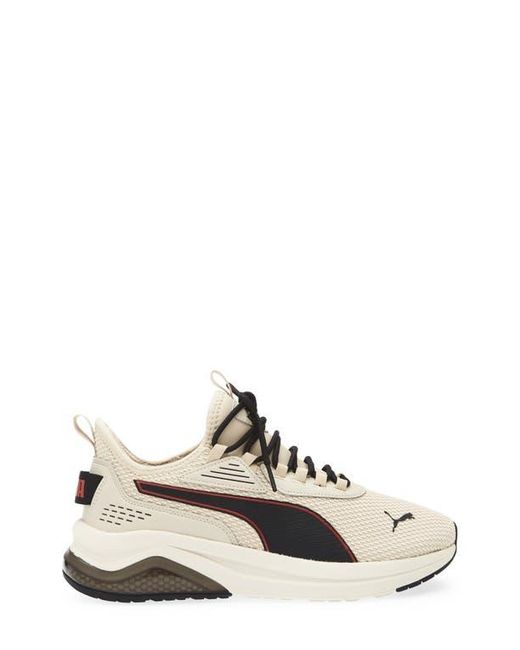 PUMA White Amplifier Knit Sneaker for men