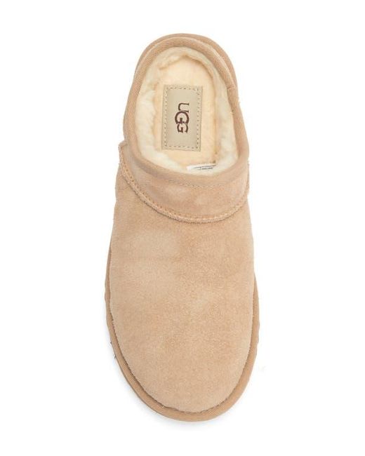 Ugg Brown Classic Slipper