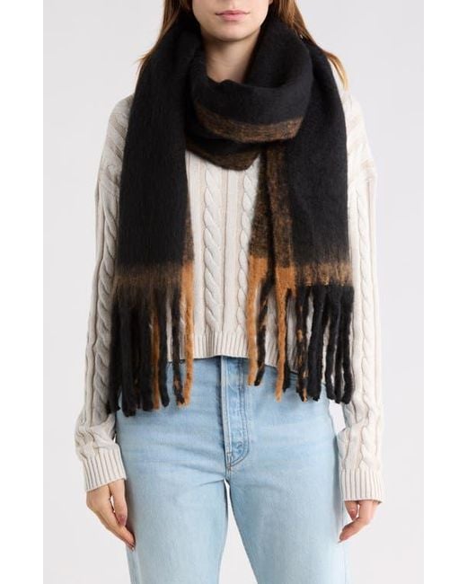 Steve Madden Black Pop Border Stripe Scarf