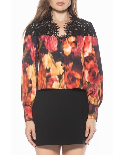 Alexia Admor Women's Orange Bryne Lace Trim Top