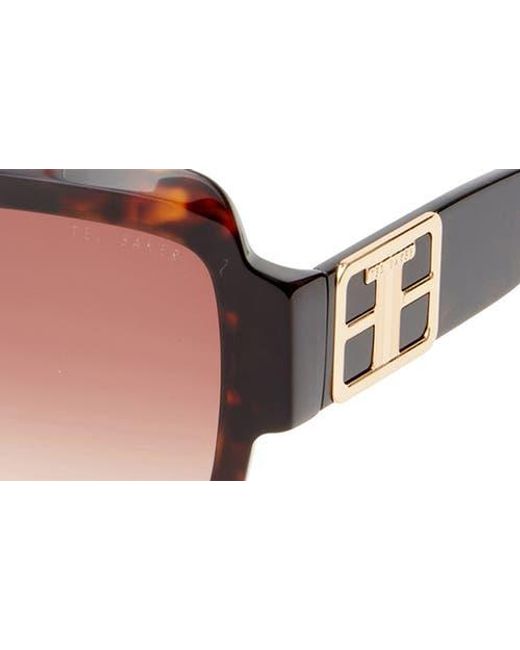 Ted Baker Brown 55Mm Square Sunglasses