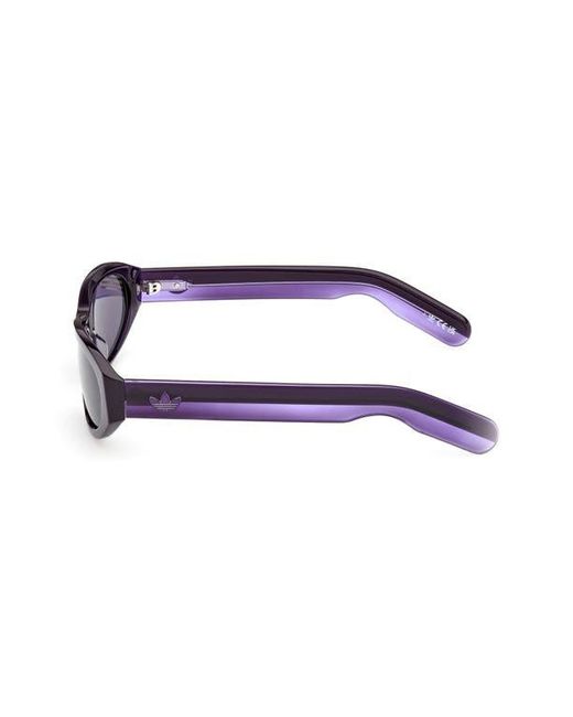 Adidas Purple Oval Sunglasses for men
