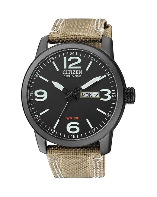 Citizen Eco-drive Global Collection Black Dial Watch for men