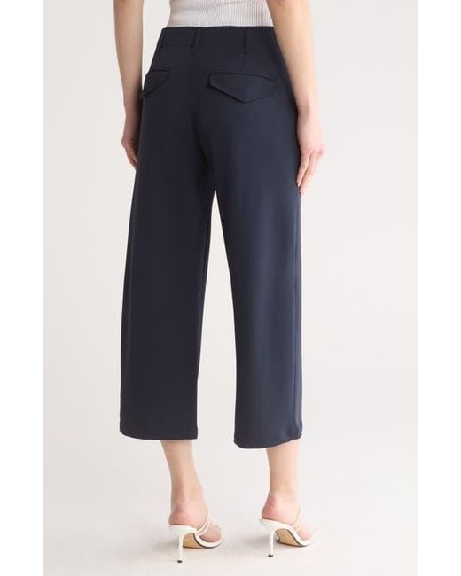 Rag & Bone Blue Dylan Cropped Pants