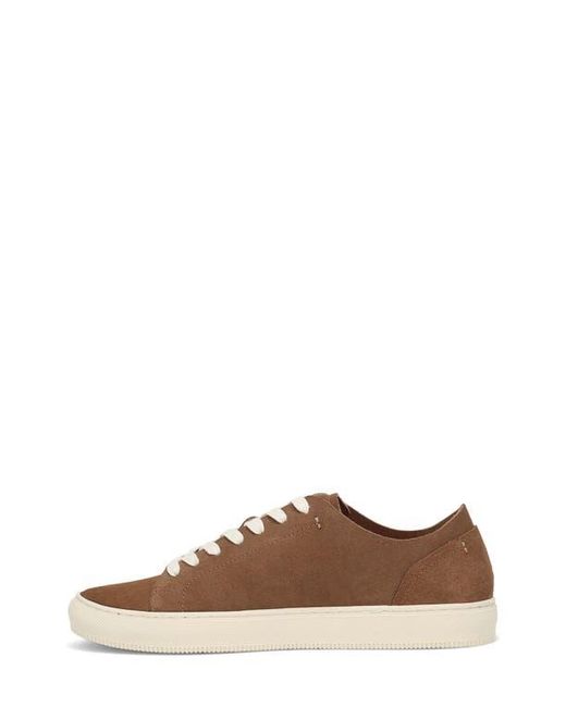 Frye Brown Astor Sneaker for men