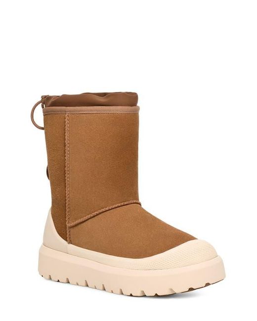 Ugg Brown Classic Short Hybrid Winter Boot for men