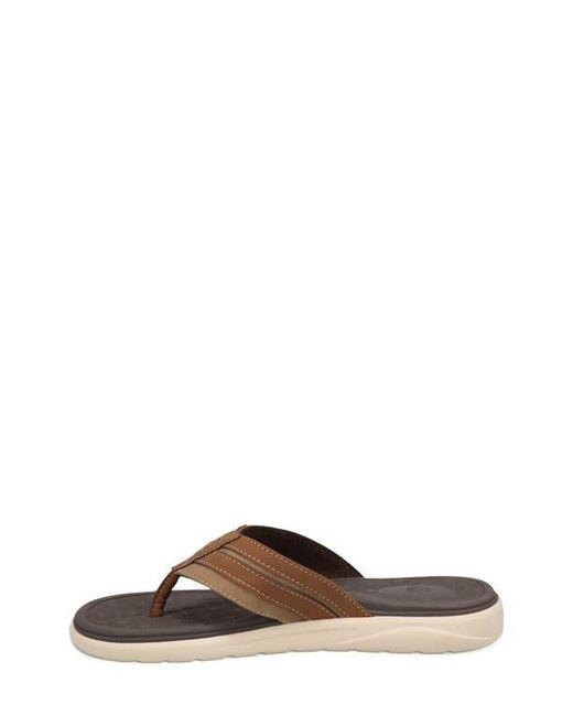 Dockers Brown Cliff Flip Flop for men