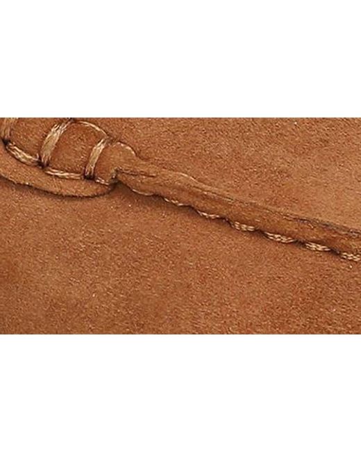 Franco Sarto Brown Mavis Mule