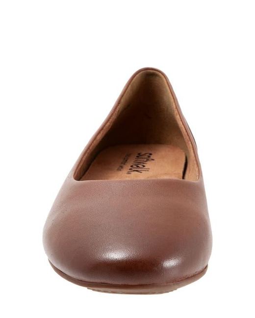 Softwalk® Brown Shiraz Flat