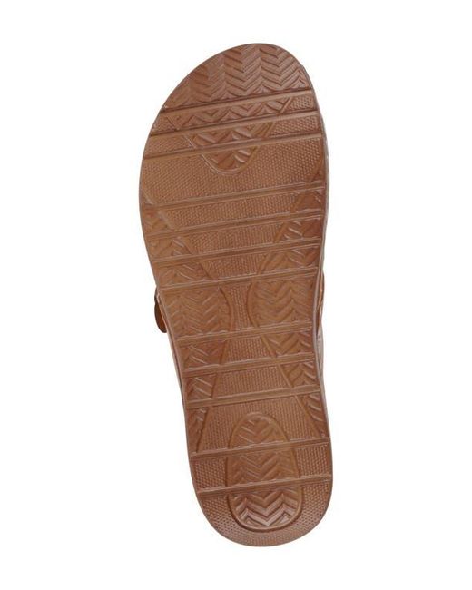 Gc Shoes Brown Marisol Clog