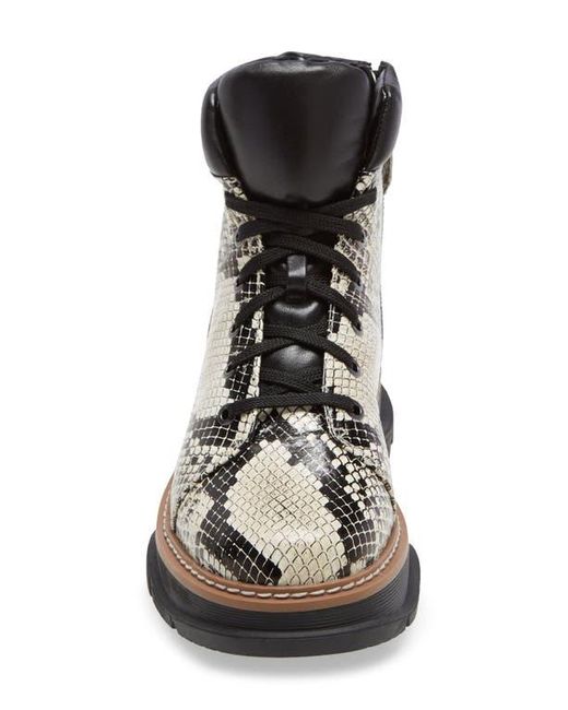 Linea Paolo Multicolor Boca Lace-Up Boot