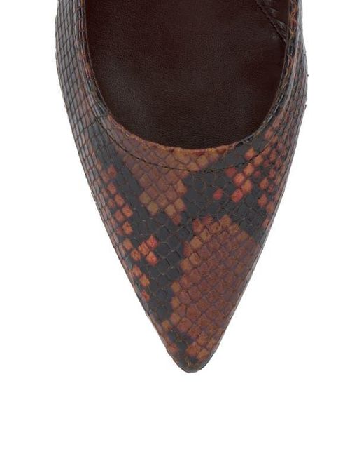 Vince Camuto Brown Ashleah Pointed Toe Flat