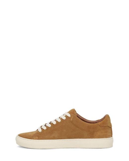 Frye Brown Astor Court Low Top Sneaker for men