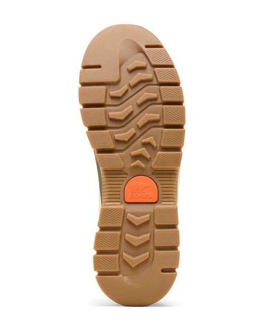 Sorel White Outing Nw Low Sneaker for men