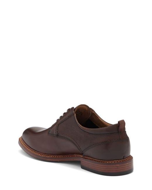 Steve Madden Brown Espen Plain Toe Derby for men
