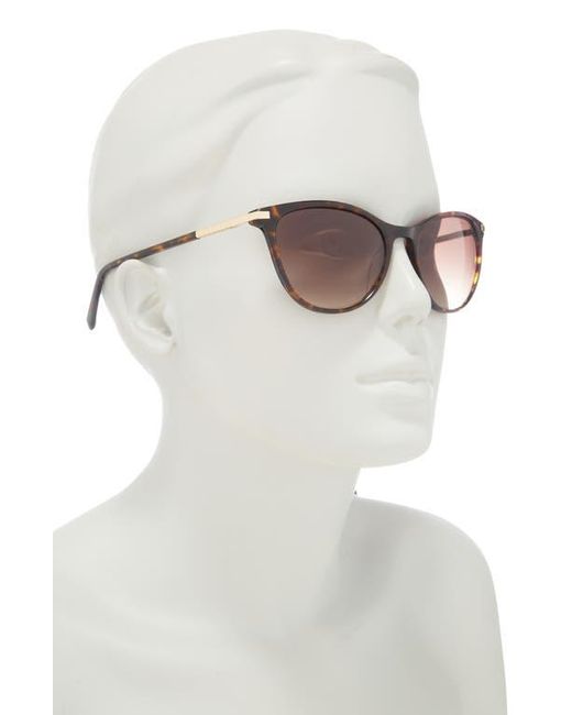 Ted Baker Pink 55Mm Full Rim Modified Round Sunglasses