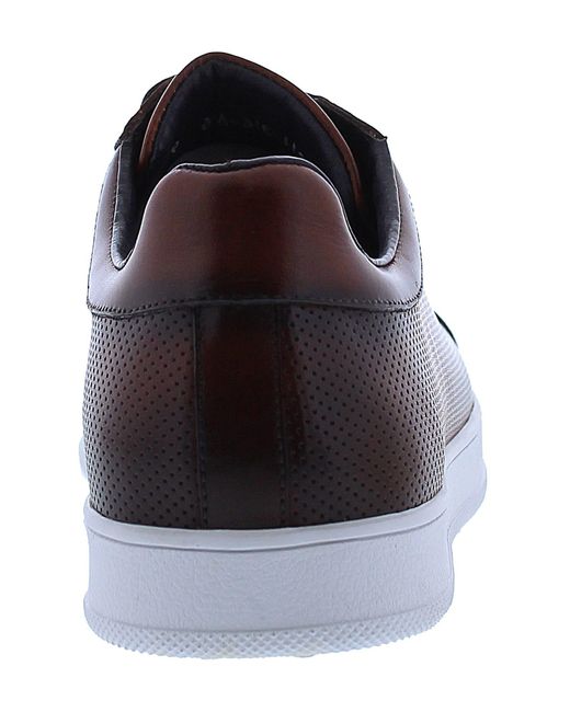Zanzara Brown Havana Perforated Leather Sneaker for men