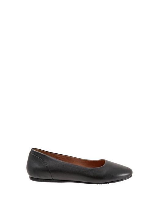 Softwalk® Brown Shiraz Flat