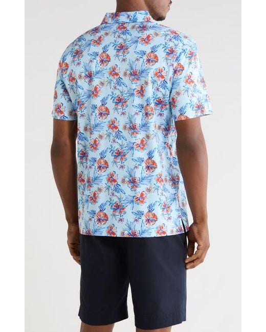 Bugatchi Blue Pima Cotton Polo for men
