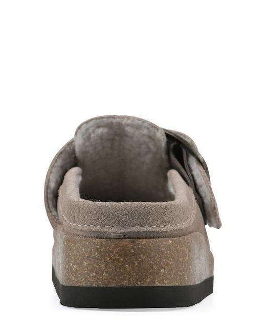White Mountain Gray Bueno Mule