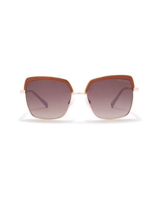 Ted Baker Purple 55Mm Square Sunglasses