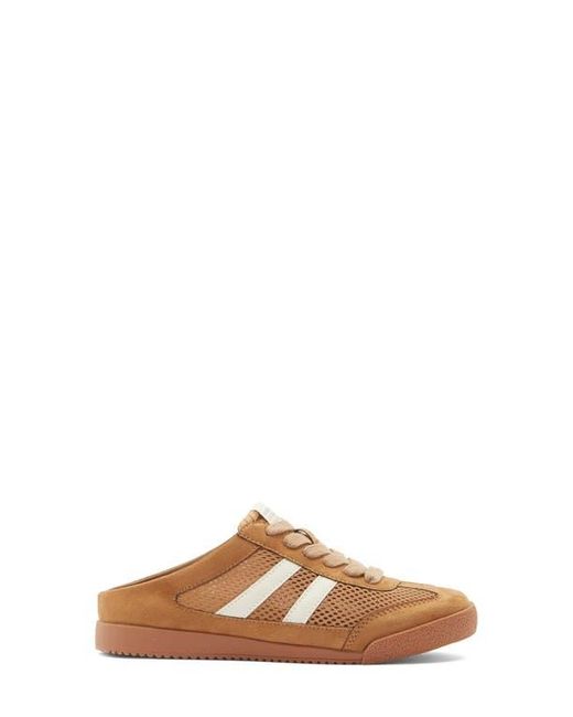 Steve Madden Brown Novva Mule