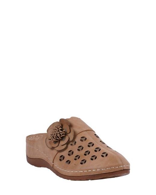 Gc Shoes Brown Marisol Clog