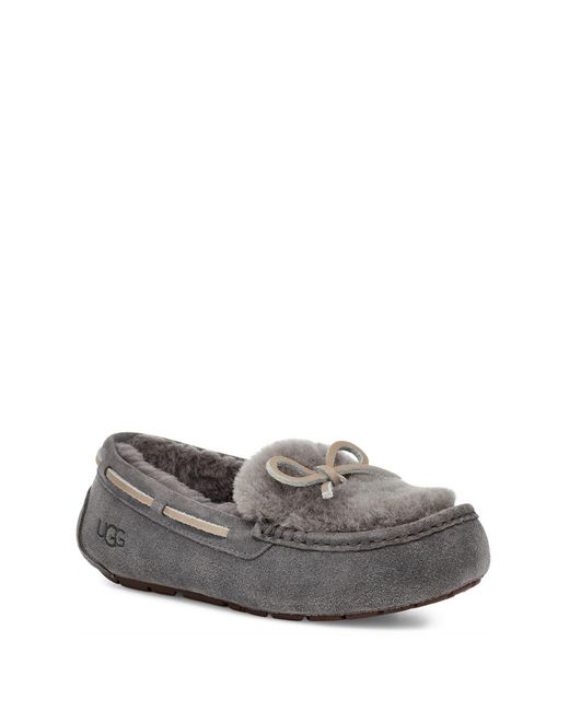 ugg dakota grey