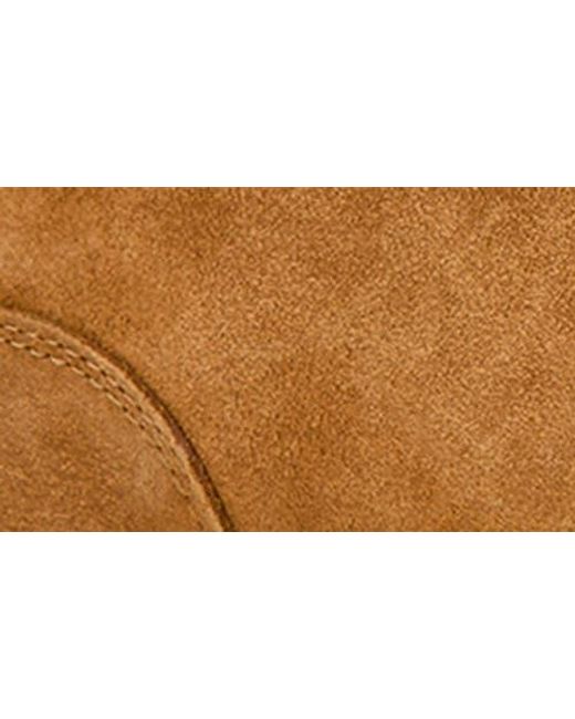 Ariat Brown Spitfire Leather Chukka Boot for men