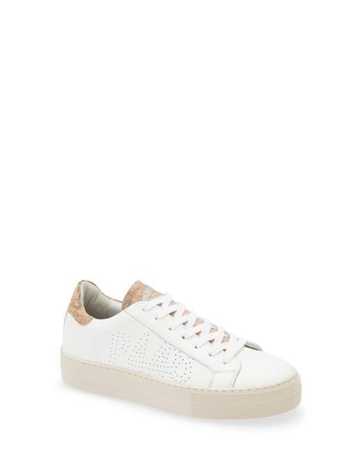 P448 White Thea Platform Sneaker