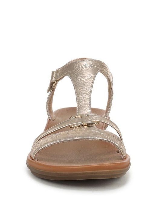 Naturalizer Brown Sofia Sandal