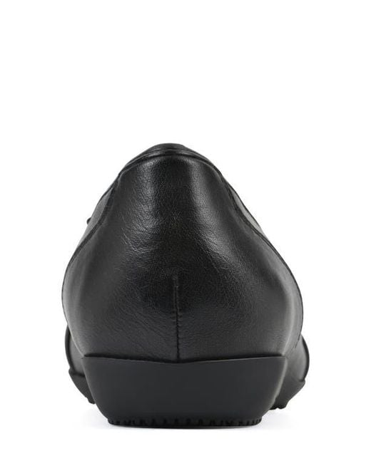 White Mountain Black Calming Buckle Strap Flat